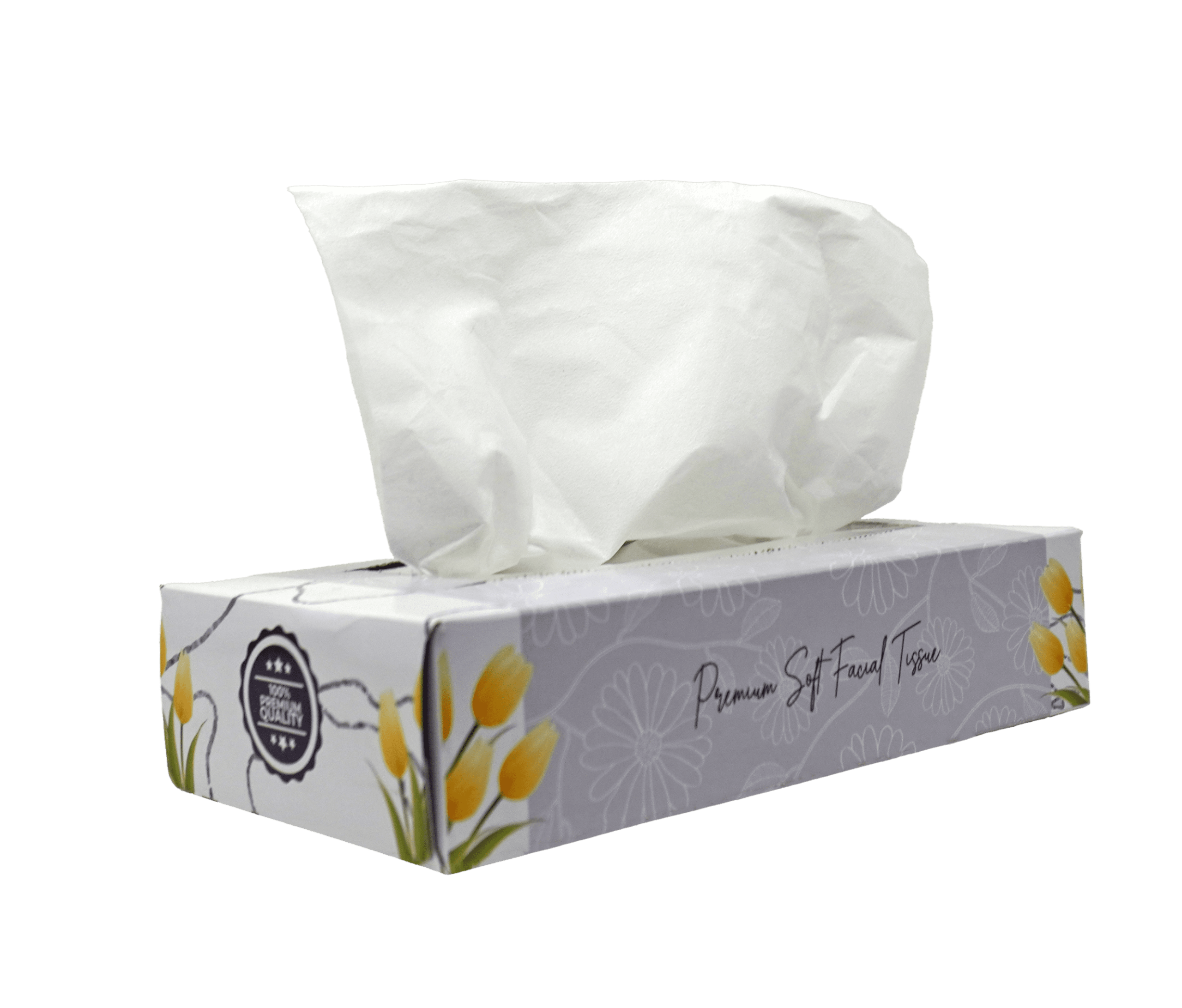 2 Ply Facial Tissue Premium 100 Sheets 30 boxes