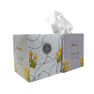 Luxury Cube Facial Tissue 2 Ply 85 sheets - 36 Box/Cs