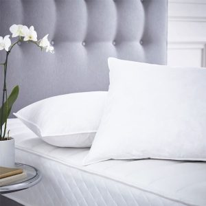 Ryotei Premium Duck Feather Pillow 20 x 30 Queen