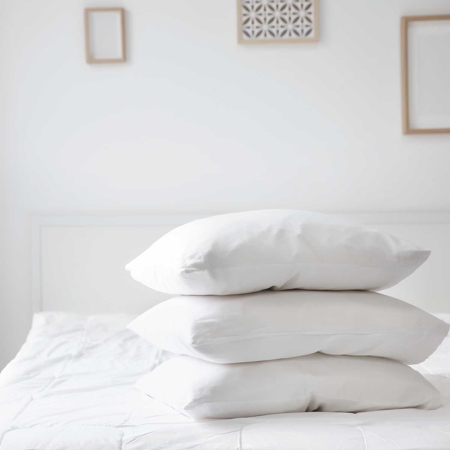 Ryotei Platinum Plus Pillow 20 x 26 Standard - Image 4